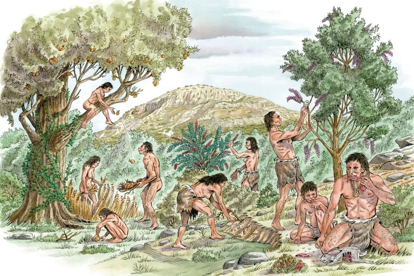 Life 70,000 Years Ago: How Early Humans Survived in the Wild